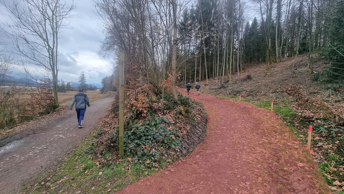 Der Strandweg soll einem Spaziergang durch den Wald weichen. (rot markiert) An diesen Stellen sollen die neuen Feld- und Velowege durch das Erholungsgebiet führen.